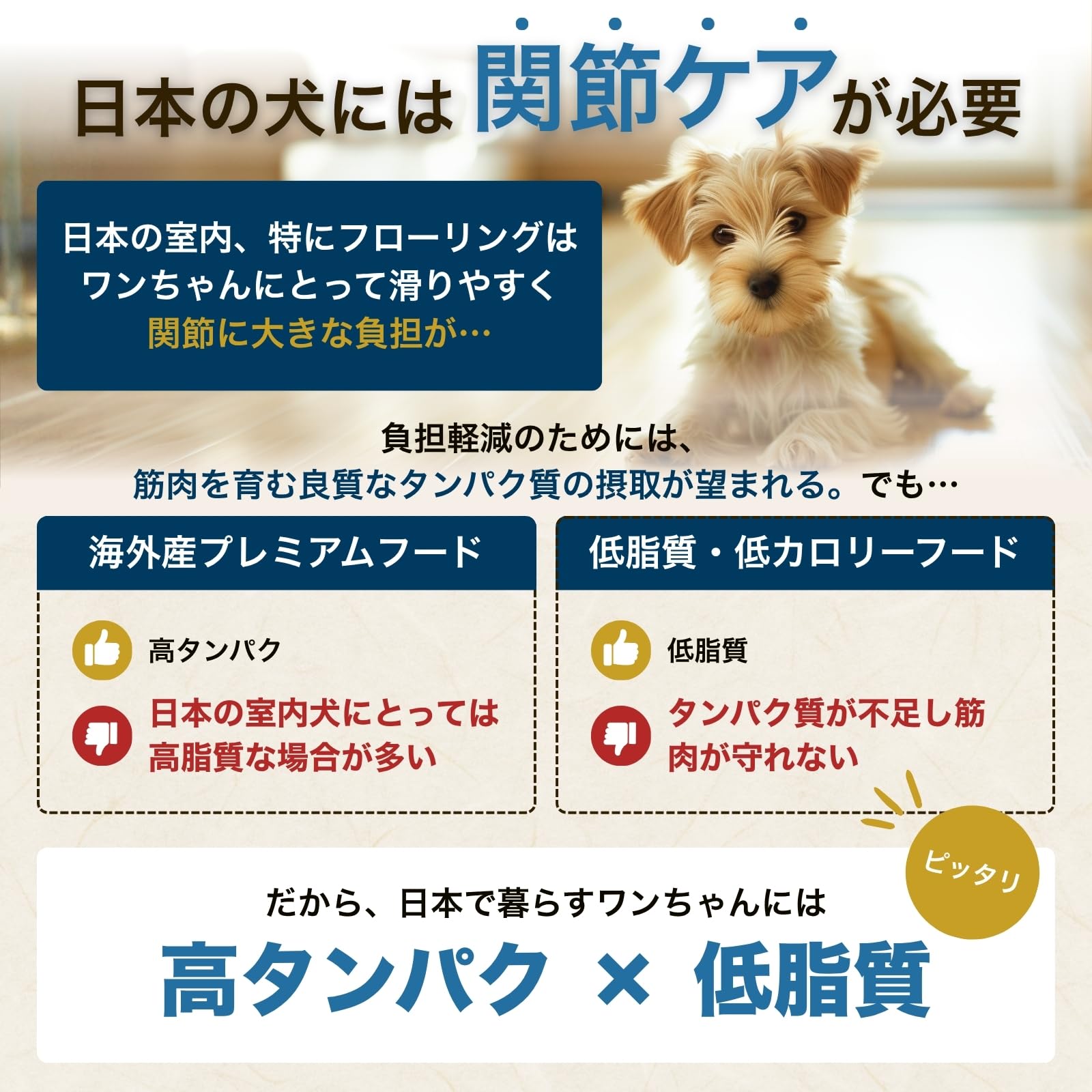 Amazon.co.jp: One8Dog ドッグフード 関節ケア 全年齢 全犬種 [ 獣医師